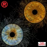 dijital birlesim ikili iris tasarimi