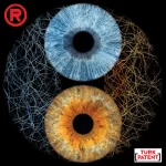 orumcek ag ikili iris tasarimi