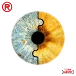 puzzle ikili iris tasarimi