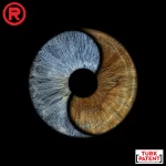 yingyang ikil iris tasarim