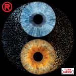 yingyang ikili carpisma tasarimi